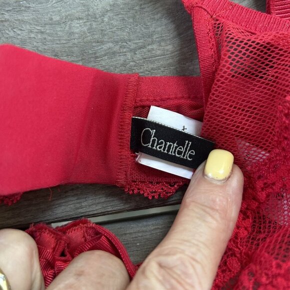 Chantelle Idole Red Lace Balconette Bra 34DD - Picture 5 of 8
